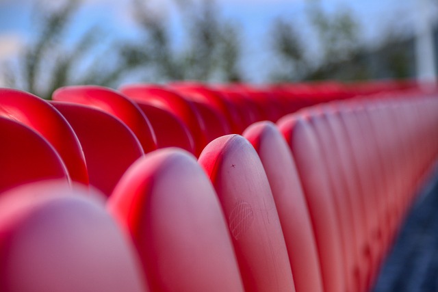 在篮球世界 在篮球世界