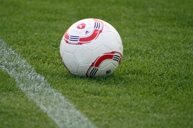 如同一场视 如同一场视