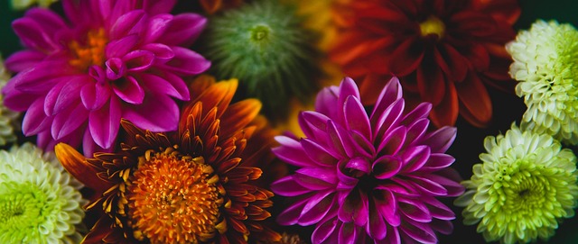 迎接仪式 迎接仪式