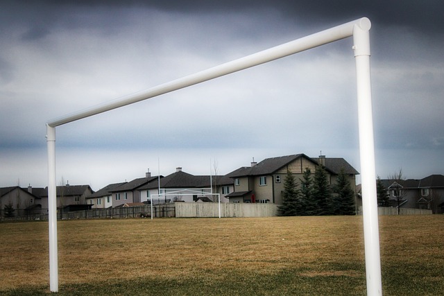 挥也未能有 挥也未能有