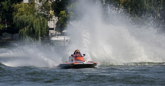 少有的拥有 少有的拥有