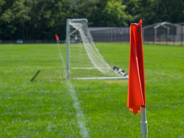 效率极高 效率极高